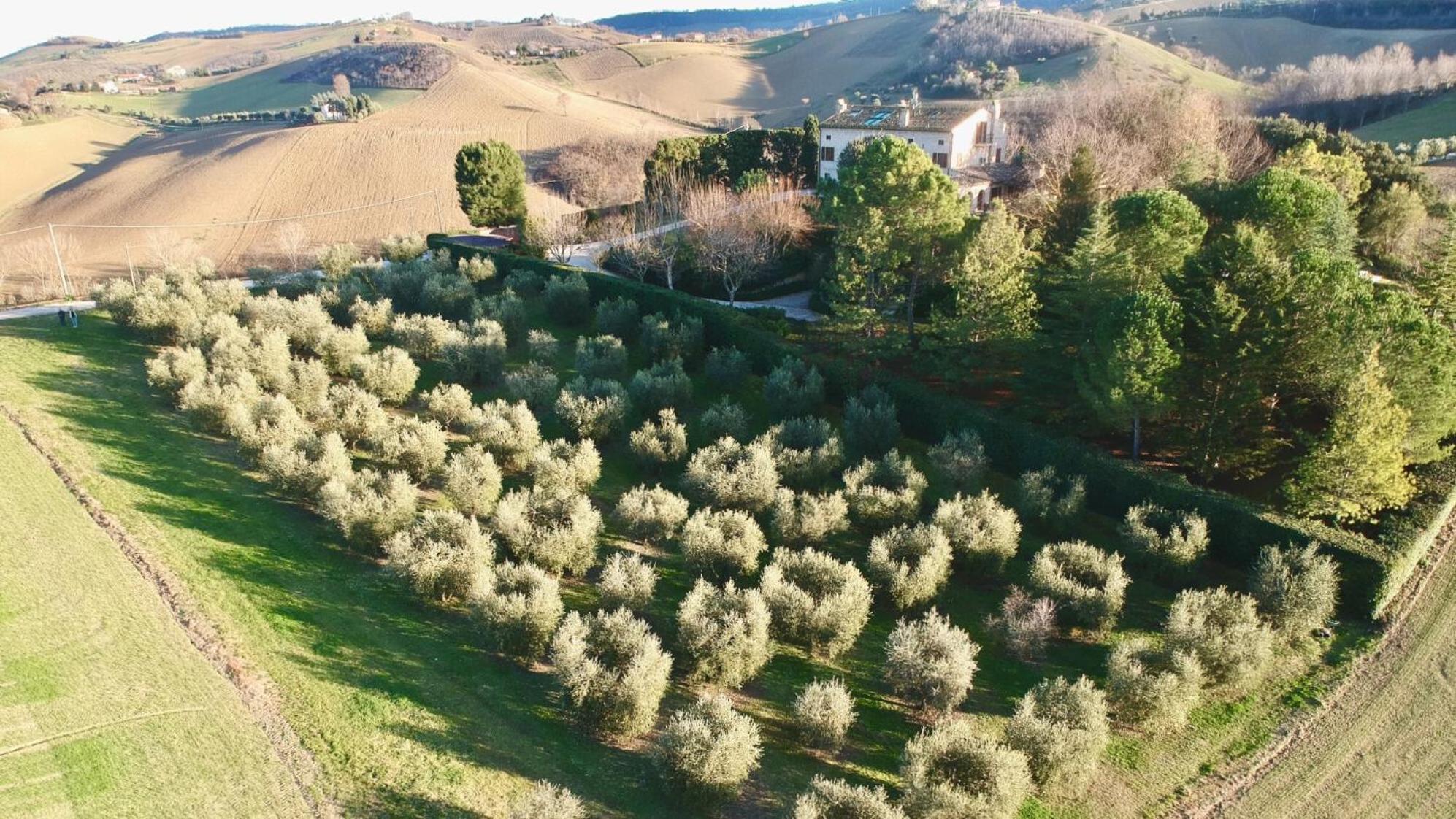Monterosato Country House Ponzano di Fermo Eksteriør bilde